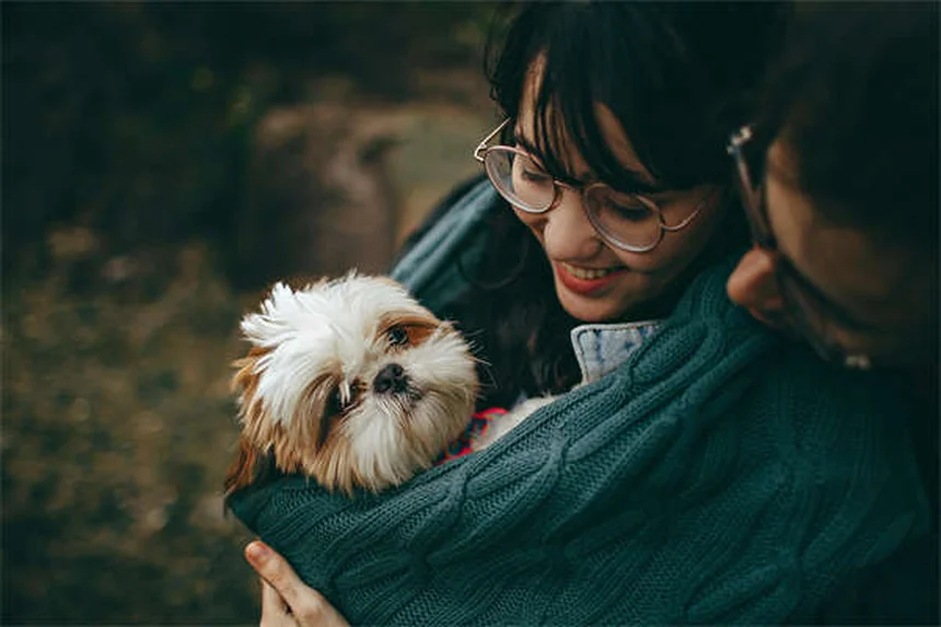 龙猫热应激的真相：你忽视的致命细节